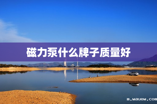 磁力泵什么牌子质量好 磁力泵什么牌子质量好