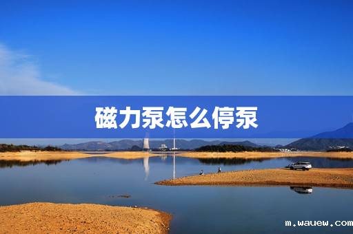 磁力泵怎么停泵 磁力泵怎么停泵
