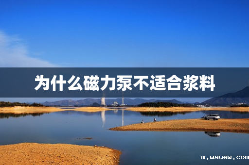 为什么磁力泵不适合浆料 为什么磁力泵不适合浆料