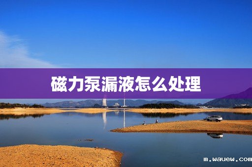 磁力泵漏液怎么处理 磁力泵漏液怎么处理