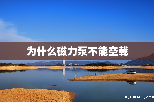 为什么磁力泵不能空载 为什么磁力泵不能空载