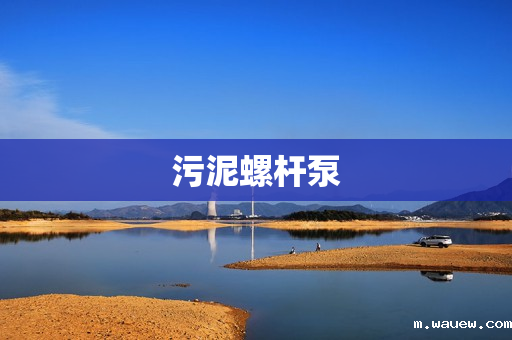 污泥螺杆泵 污泥螺杆泵