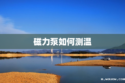 磁力泵如何测温 磁力泵如何测温