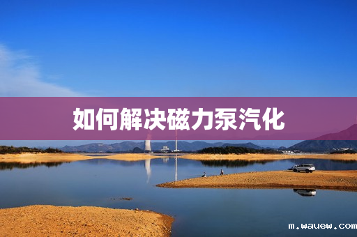 如何解决磁力泵汽化 如何解决磁力泵汽化