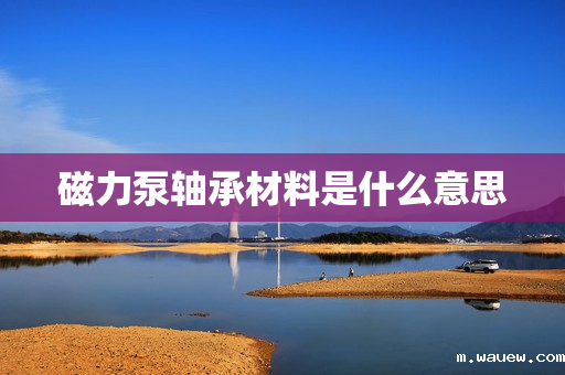 磁力泵轴承材料是什么意思 磁力泵轴承材料是什么意思