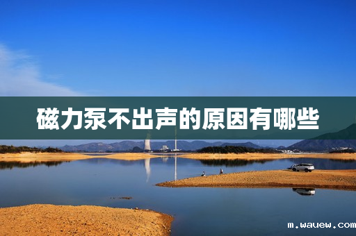磁力泵不出声的原因有哪些 磁力泵不出声的原因有哪些