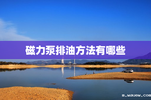 磁力泵排油方法有哪些 磁力泵排油方法有哪些
