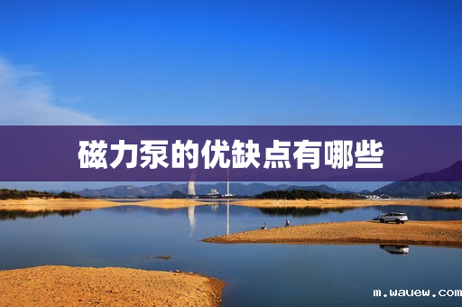 磁力泵的优缺点有哪些 磁力泵的优缺点有哪些