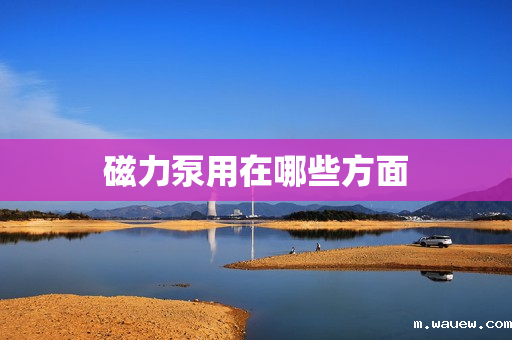 磁力泵用在哪些方面 磁力泵用在哪些方面