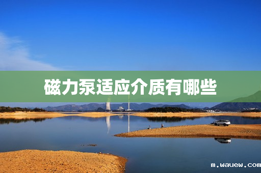 磁力泵适应介质有哪些 磁力泵适应介质有哪些