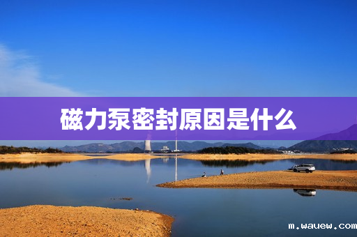 磁力泵密封原因是什么 磁力泵密封原因是什么