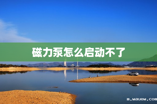 磁力泵怎么启动不了 磁力泵怎么启动不了