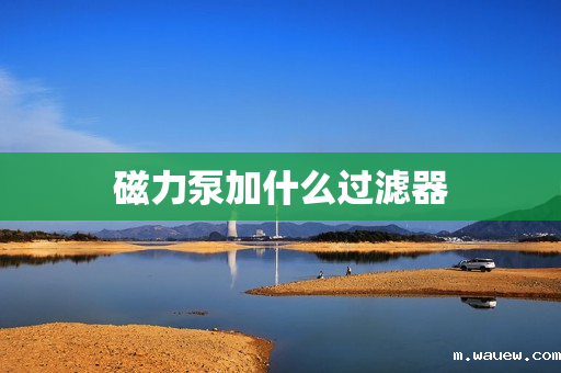 磁力泵加什么过滤器 磁力泵加什么过滤器