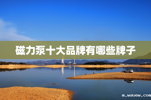 磁力泵十大品牌有哪些牌子 磁力泵十大品牌有哪些牌子