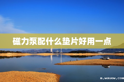 磁力泵配什么垫片好用一点 磁力泵配什么垫片好用一点