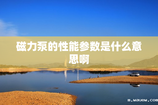 磁力泵的性能参数是什么意思啊 磁力泵的性能参数是什么意思啊
