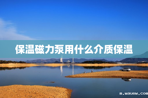 保温磁力泵用什么介质保温 保温磁力泵用什么介质保温