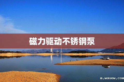 磁力驱动不锈钢泵 磁力驱动不锈钢泵