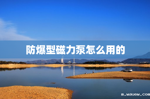 防爆型磁力泵怎么用的 防爆型磁力泵怎么用的