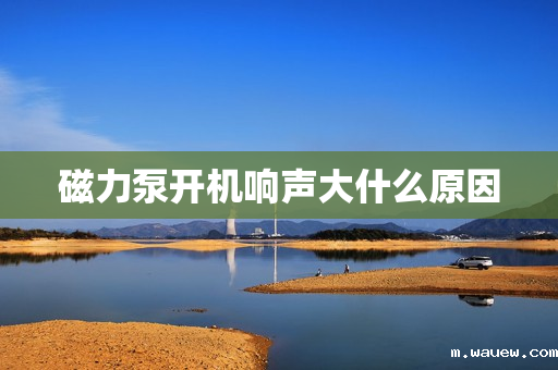 磁力泵开机响声大什么原因 磁力泵开机响声大什么原因