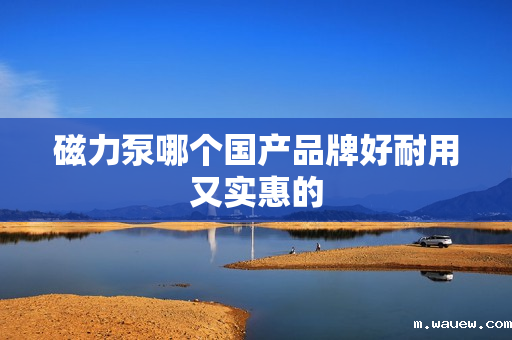 磁力泵哪个国产品牌好耐用又实惠的 磁力泵哪个国产品牌好耐用又实惠的