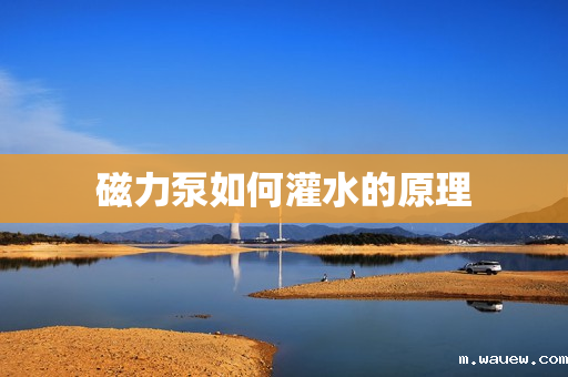 磁力泵如何灌水的原理 磁力泵如何灌水的原理