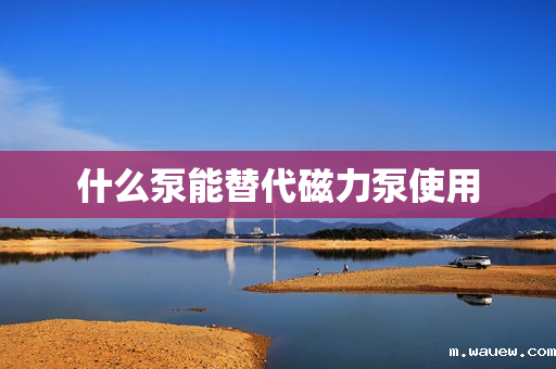 什么泵能替代磁力泵使用 什么泵能替代磁力泵使用