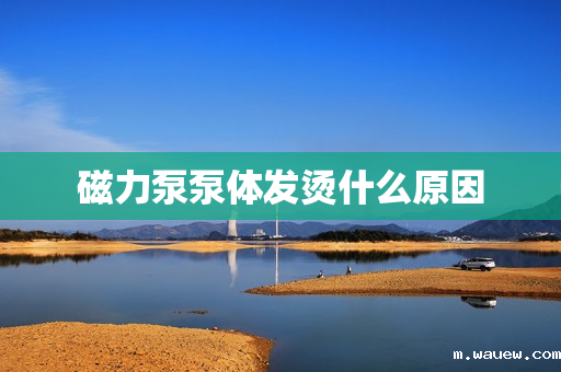 磁力泵泵体发烫什么原因 磁力泵泵体发烫什么原因