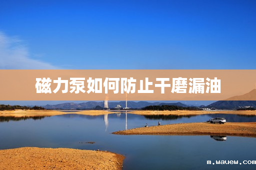 磁力泵如何防止干磨漏油 磁力泵如何防止干磨漏油