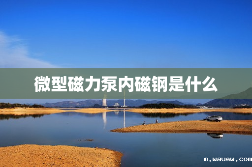 微型磁力泵内磁钢是什么 微型磁力泵内磁钢是什么