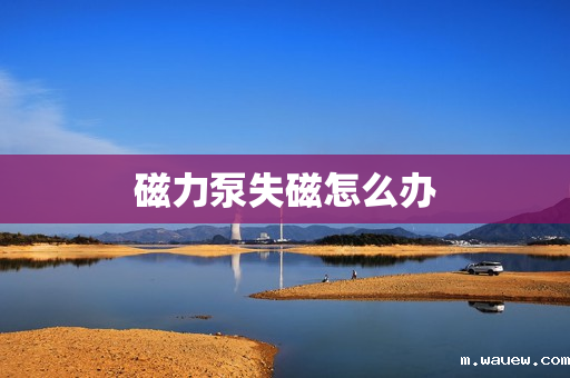 磁力泵失磁怎么办 磁力泵失磁怎么办