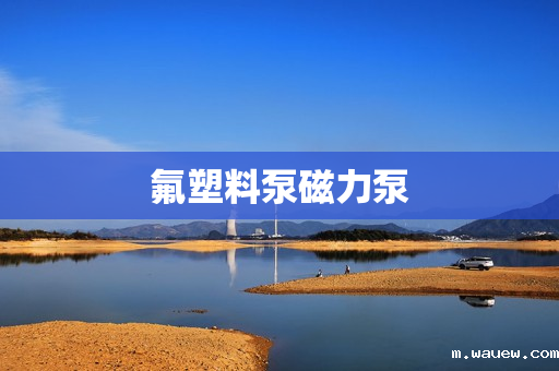 氟塑料泵磁力泵 氟塑料泵磁力泵