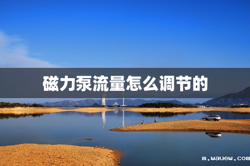 磁力泵流量怎么调节的 磁力泵流量怎么调节的