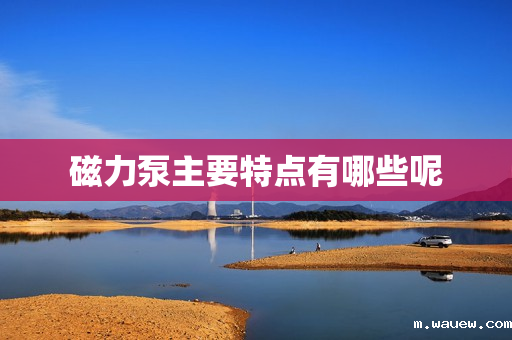 磁力泵主要特点有哪些呢 磁力泵主要特点有哪些呢