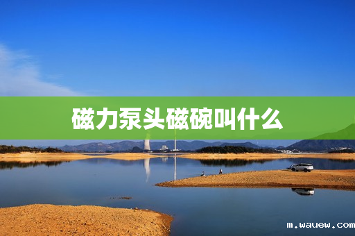 磁力泵头磁碗叫什么 磁力泵头磁碗叫什么