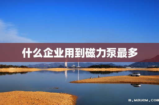 什么企业用到磁力泵最多 什么企业用到磁力泵最多