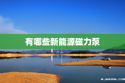 有哪些新能源磁力泵 有哪些新能源磁力泵