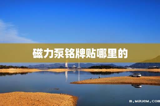 磁力泵铭牌贴哪里的 磁力泵铭牌贴哪里的