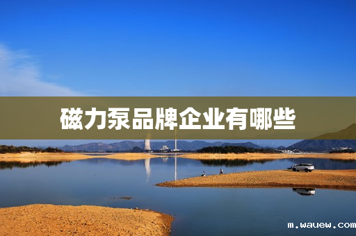 磁力泵品牌企业有哪些 磁力泵品牌企业有哪些