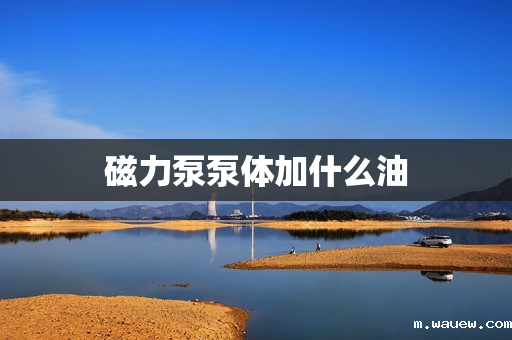 磁力泵泵体加什么油 磁力泵泵体加什么油