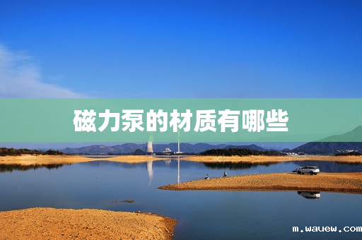 磁力泵的材质有哪些 磁力泵的材质有哪些