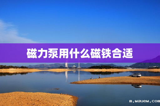 磁力泵用什么磁铁合适 磁力泵用什么磁铁合适