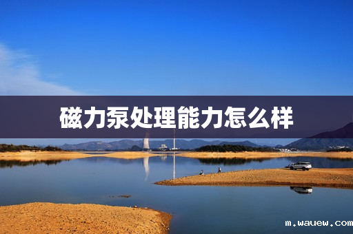 磁力泵处理能力怎么样 磁力泵处理能力怎么样