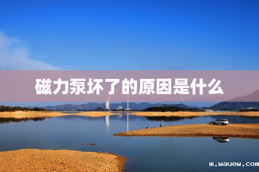 磁力泵坏了的原因是什么 磁力泵坏了的原因是什么