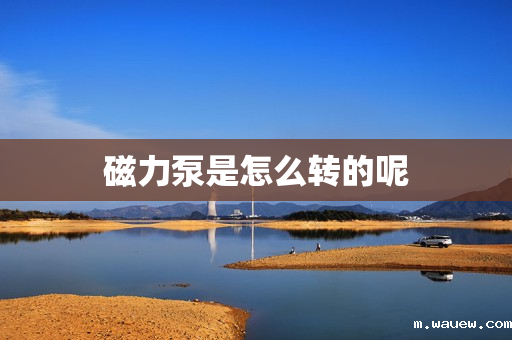 磁力泵是怎么转的呢 磁力泵是怎么转的呢