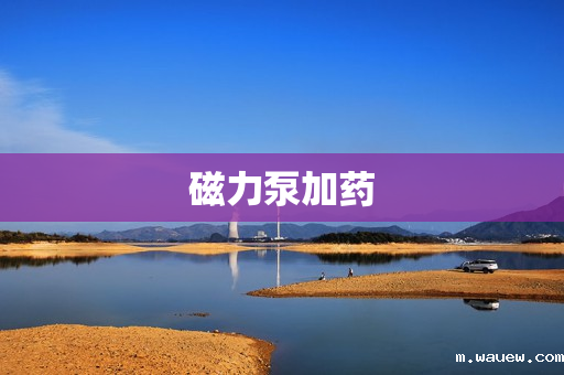 磁力泵加药 磁力泵加药