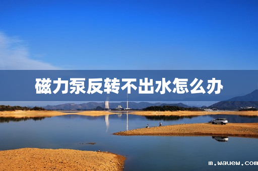 磁力泵反转不出水怎么办 磁力泵反转不出水怎么办