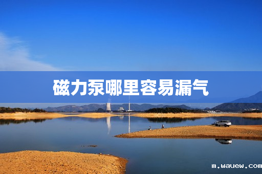 磁力泵哪里容易漏气 磁力泵哪里容易漏气