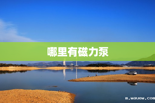 哪里有磁力泵 哪里有磁力泵