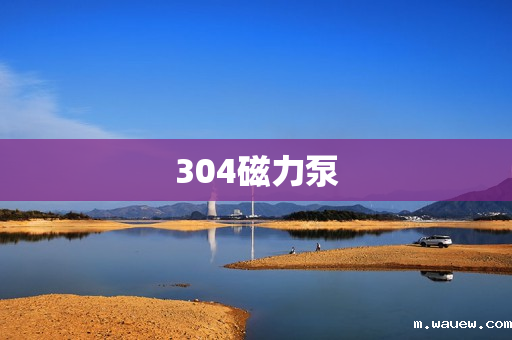 304磁力泵 304磁力泵